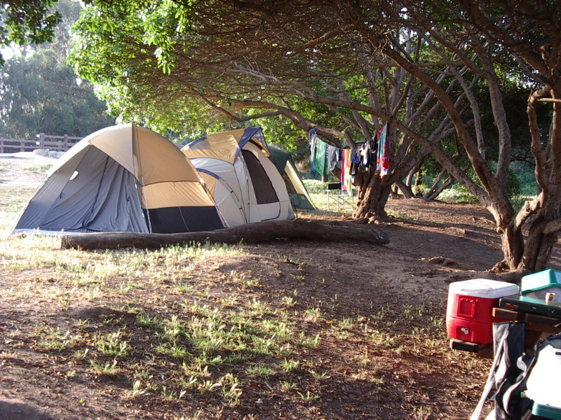 Tents