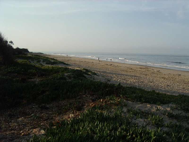 Looking East