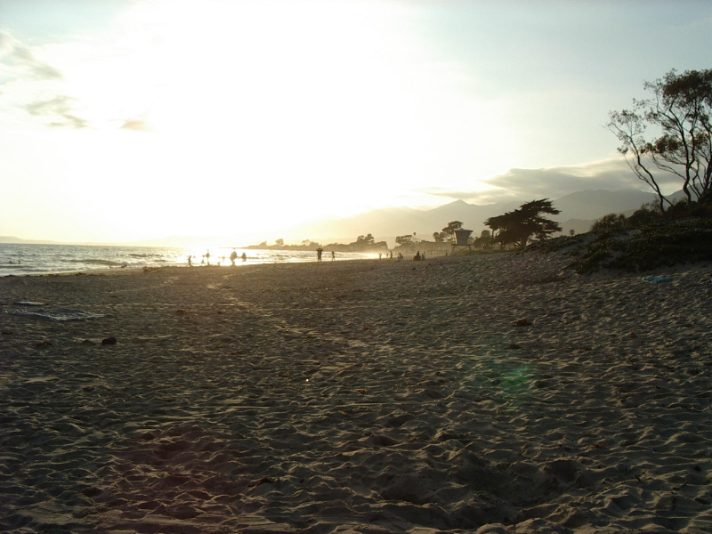 Looking West