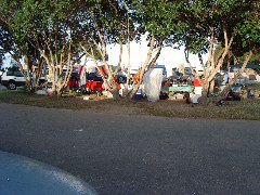 Group Area from our Site