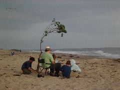 A Gathering on the Beach