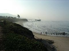 Looking East