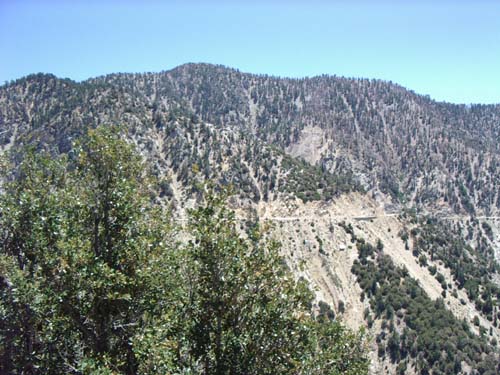 IMGP3495