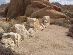 IMGP5882