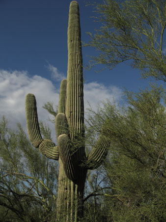 vilter_live_and_learn-95