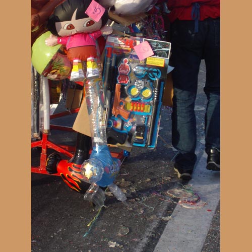 IMGP6309