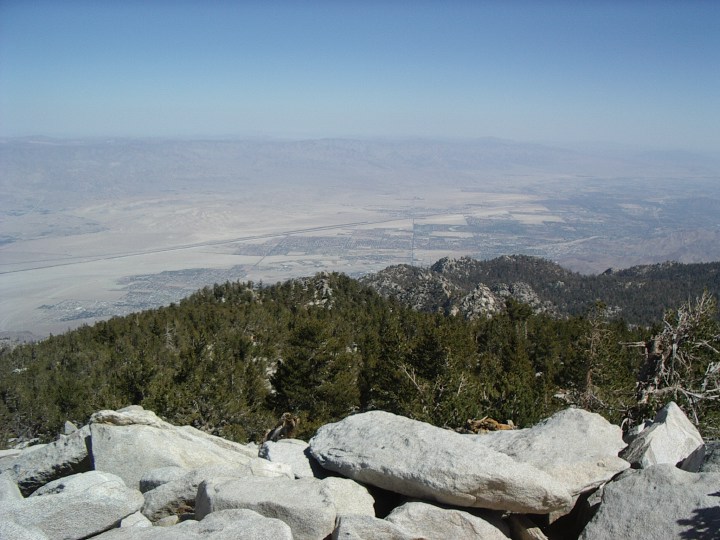 imgp5312.jpg
