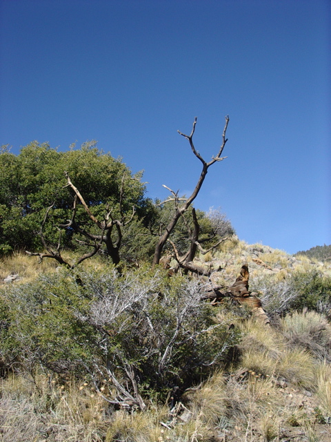 IMGP5476.JPG
