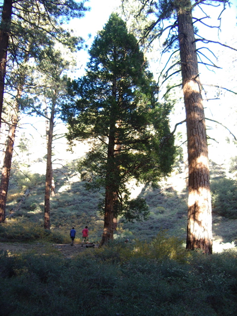 IMGP5497.JPG