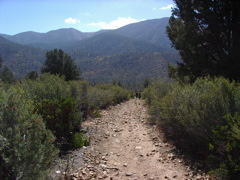 IMGP5550.JPG