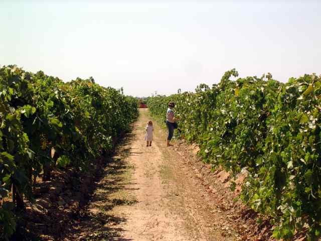 imgp1166.jpg