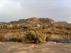 IMGP5741