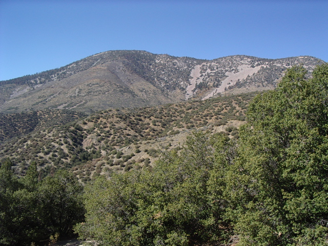 IMGP5457.JPG